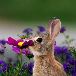 ������, ������ ��������, 58 ���