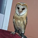 ���� ���, ������, 45 ��� - ��������� 3 ������� 2023