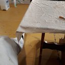 ���� ����, ����, 61 ��� - ��������� 23 ������� 2023 � ������ ���� ����������