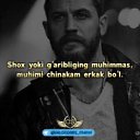 ���� Sher, ������, 29 ��� - ��������� 11 ���� 2023 � ������ ���� ����������