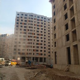 ������, ������, 37 ���