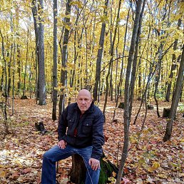 �������, ������, 62 ����