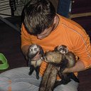 ���� ����������, ��������� - ��������� 1 �������� 2023