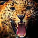 ���� ������, ������, 53 ���� - ��������� 27 �������� 2023 � ������ ���� ����������