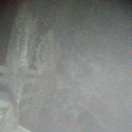 ������, ������-��-����, 29 ���