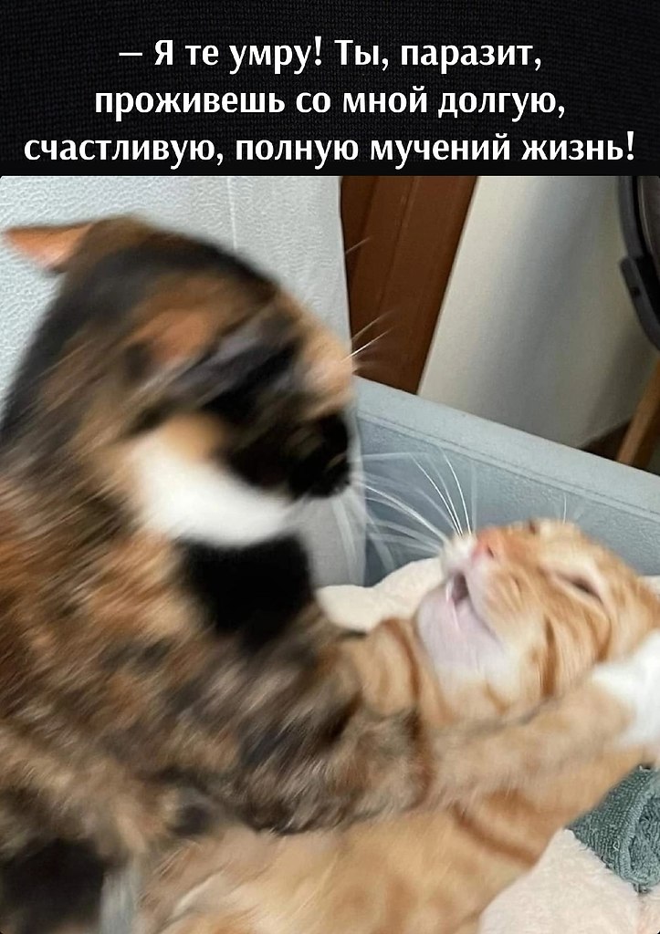       - 10  2023  17:13 - 2