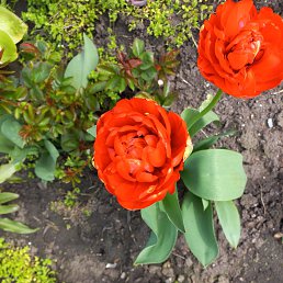 ���� �������, ���������, 57 ��� - ��������� 19 ��� 2023