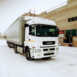 �����, ������, 54 ����