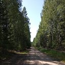 ���� ���������, ������, 55 ��� - ��������� 19 ������� 2023 � ������ ���� ����������