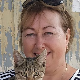 ��������, ������