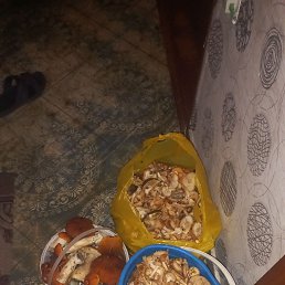 ���� ����, �����, 42 ���� - ��������� 7 ������� 2023