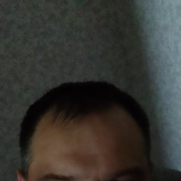 ���� ����, ������, 48 ��� - ��������� 1 ������� 2023