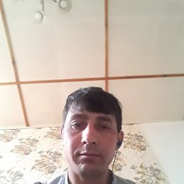 Sanjarbekek, ���������, 33 ����