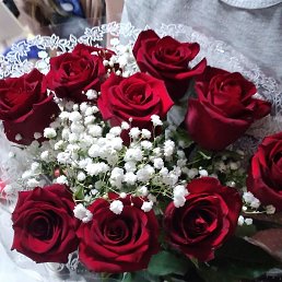 ��������, ���������, 31 ���