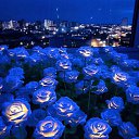 ���� Roma, �����-���������, 25 ��� - ��������� 22 ������� 2023 � ������ ���� ����������