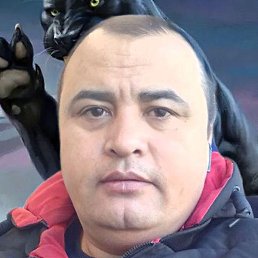 ����, �����-���������, 39 ���