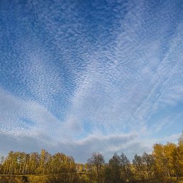 �������, ������, 38 ���