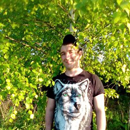 ������, ����, 37 ���