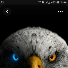 �������, ������, 20 ���