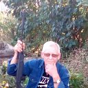 ���� �����, ��������, 62 ���� - ��������� 31 ����� 2023 � ������ ���� ����������