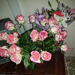 �����, ������, 36 ���