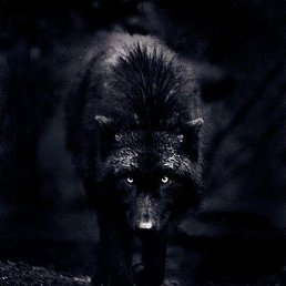 �, �����������, 35 ���