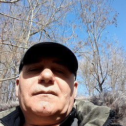 ����, �����-���������, 54 ����