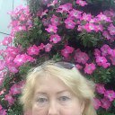 ���� �����, ���������, 55 ��� - ��������� 25 ����� 2023 � ������ ���� ����������