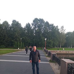 ������, ��������, 41 ���