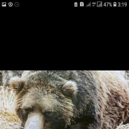 �����, ���������, 47 ���