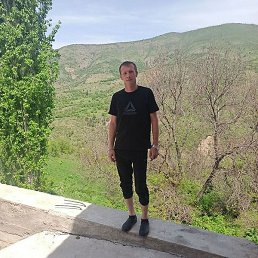 �������, �������, 41 ���