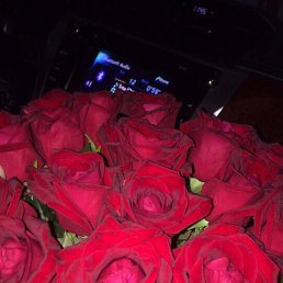 Nazi, �������, 32 ����