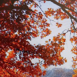 ����, ������, 68 ���