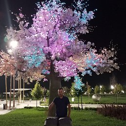 ������, �����, 38 ���