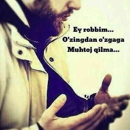 �����, �����, 36 ���