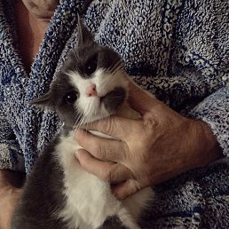 ������, ������, 57 ���