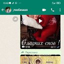 ���� ���������, ���������, 49 ��� - ��������� 27 ��� 2023 � ������ ���� ����������