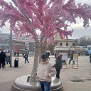 ���� �����, ������, 41 ��� - ��������� 17 ��� 2023