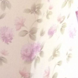 ������, ������������, 41 ���