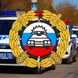 ����, �����������, 40 ���