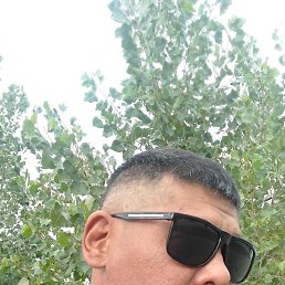 ������, ��������, 41 ���