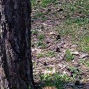 ���� ������, ������� - ��������� 8 ������ 2023 � ������ ���� ����������