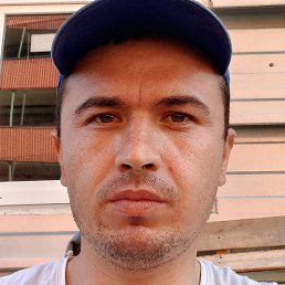 ����, �����-���������, 33 ����