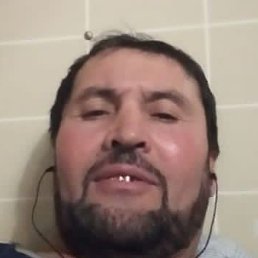 ������, ������, 51 ���