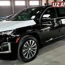 ���� ��������, �����������, 43 ���� - ��������� 15 ��� 2023 � ������ ���� ����������
