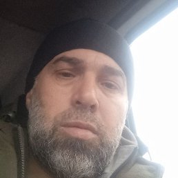 �����, ������, 49 ���