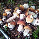 ���� �����, �����-���������, 63 ���� - ��������� 27 ������� 2023 � ������ ������ ��������