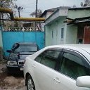 ���� ����, ������, 43 ���� - ��������� 2 ������� 2023