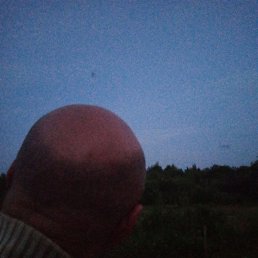 ������, ������, 41 ���