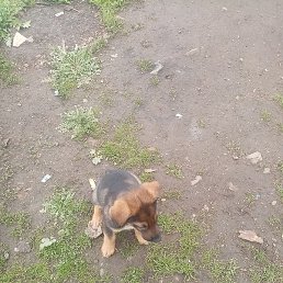 ���, ������, 38 ���